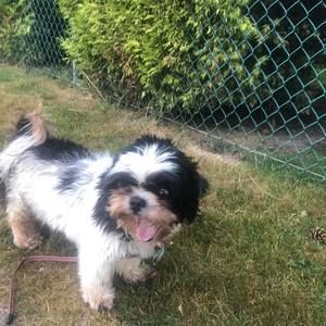 Meet your Posher, Janis